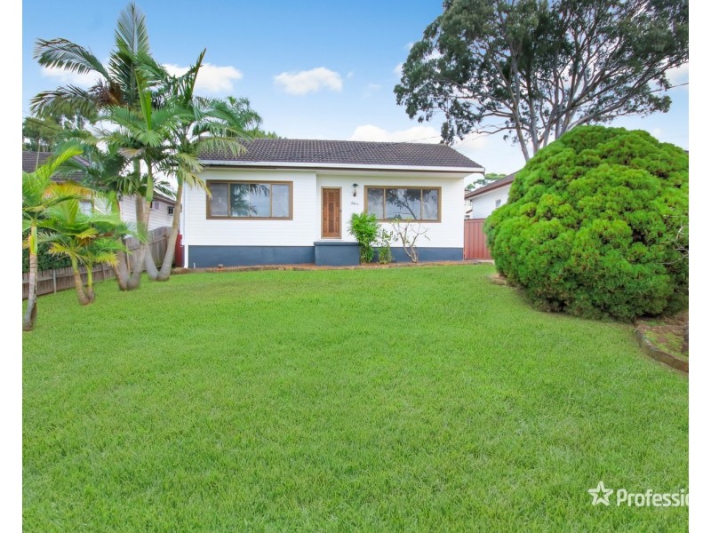 20 Dina Beth Avenue, Blacktown NSW 2148