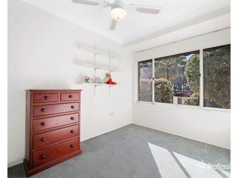 3 Ogden Close, St Clair NSW 2759