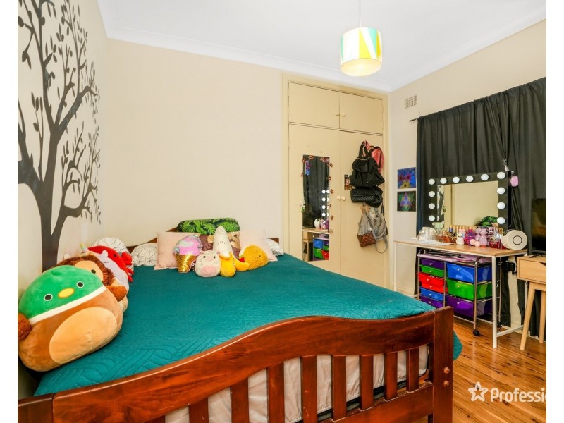 19 Cutler Avenue, St Marys NSW 2760