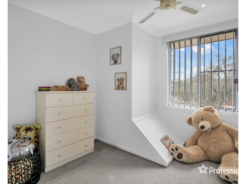 4 Ivan Street, Minchinbury NSW 2770