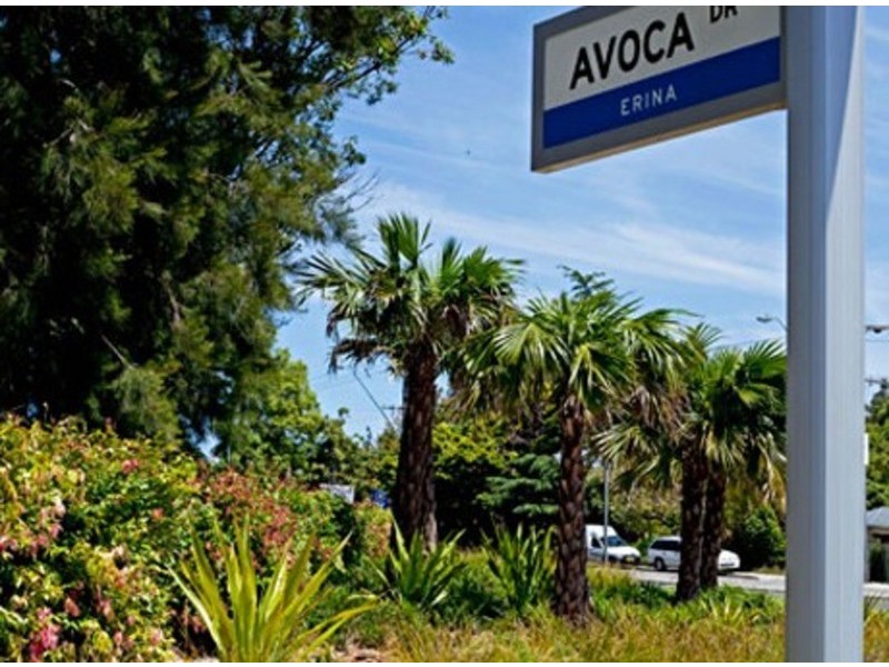 Avoca Beach NSW 2251