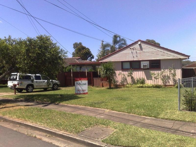29 Roebuck Crescent, Willmot NSW 2770