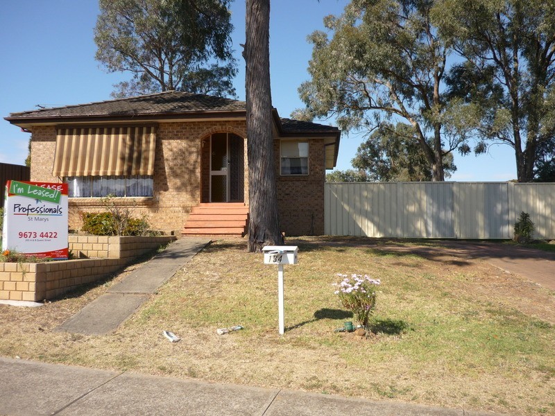 134 St Clair Avenue, St Clair NSW 2759