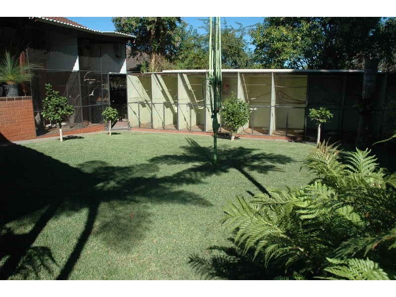 Lethbridge Park NSW 2770