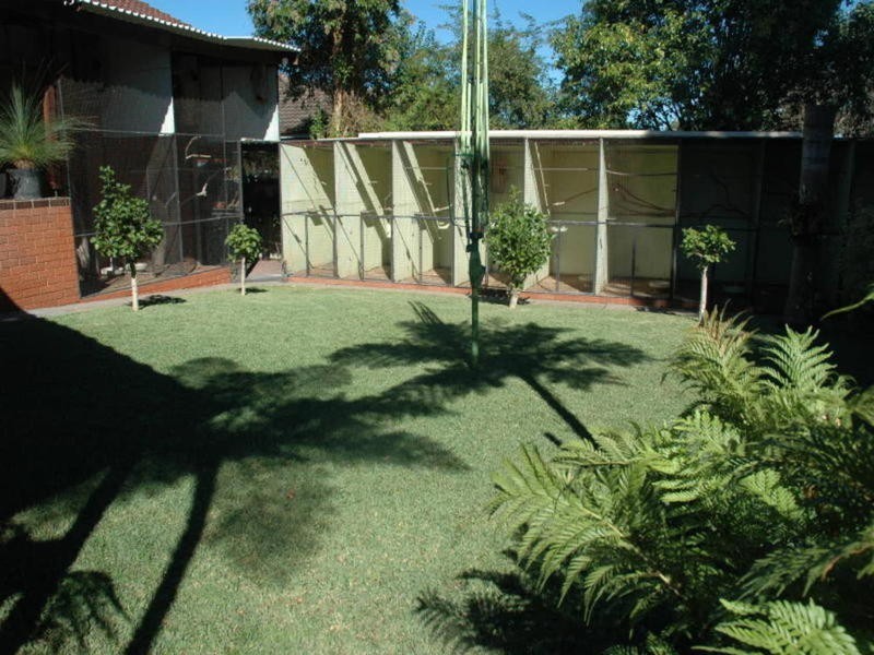 Lethbridge Park NSW 2770