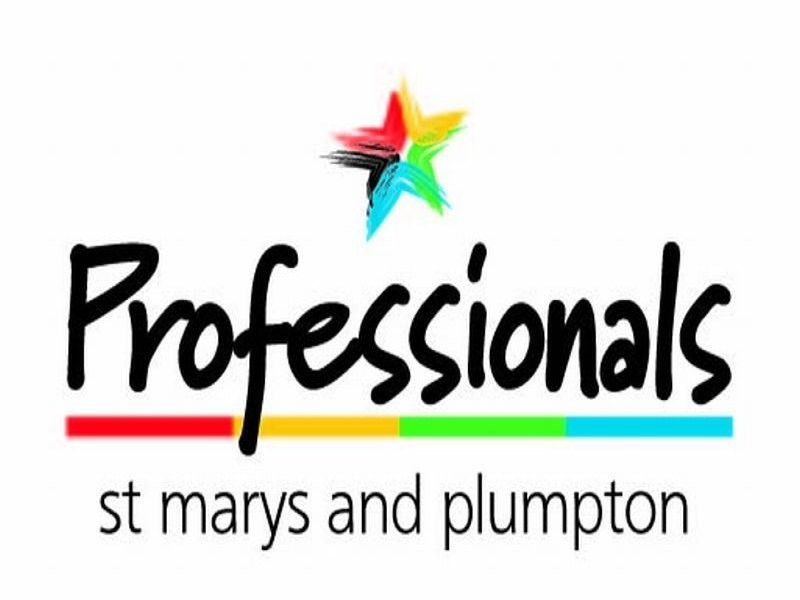 35 Lang Crescent, Blackett NSW 2770