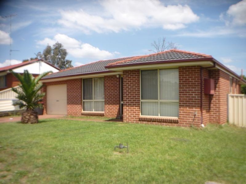 144 Shepherd Street, Colyton NSW 2760