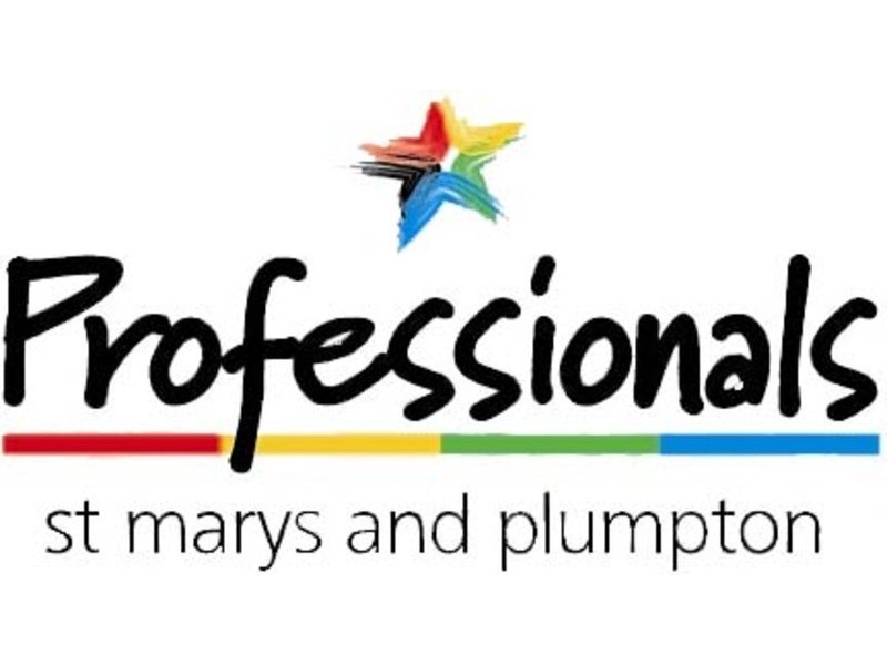 3 Idriess Crescent, Blackett NSW 2770