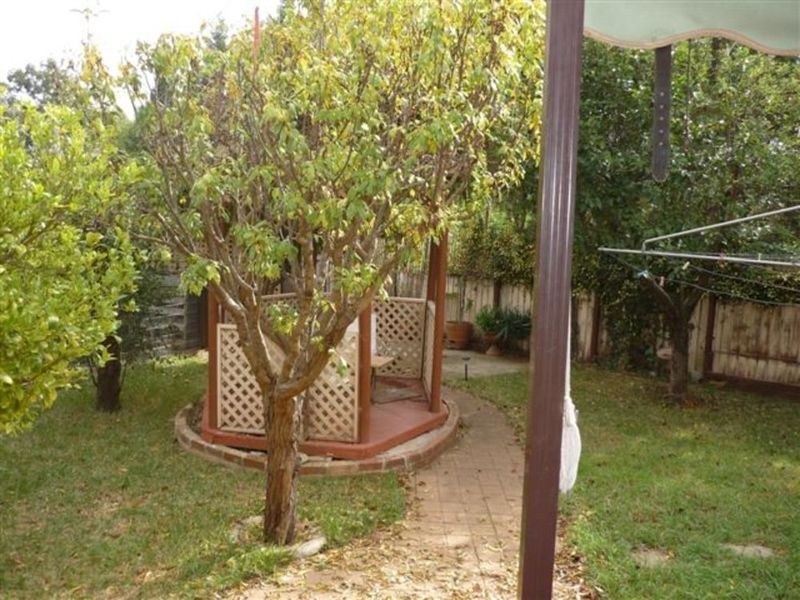 7 Haylen Place, Blackett NSW 2770