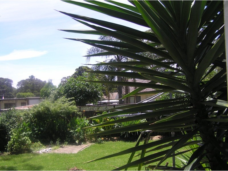 Lethbridge Park NSW 2770