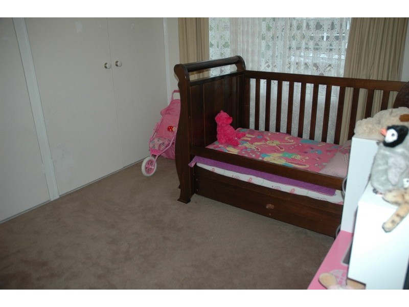 33 Bouchet Crescent, Minchinbury NSW 2770