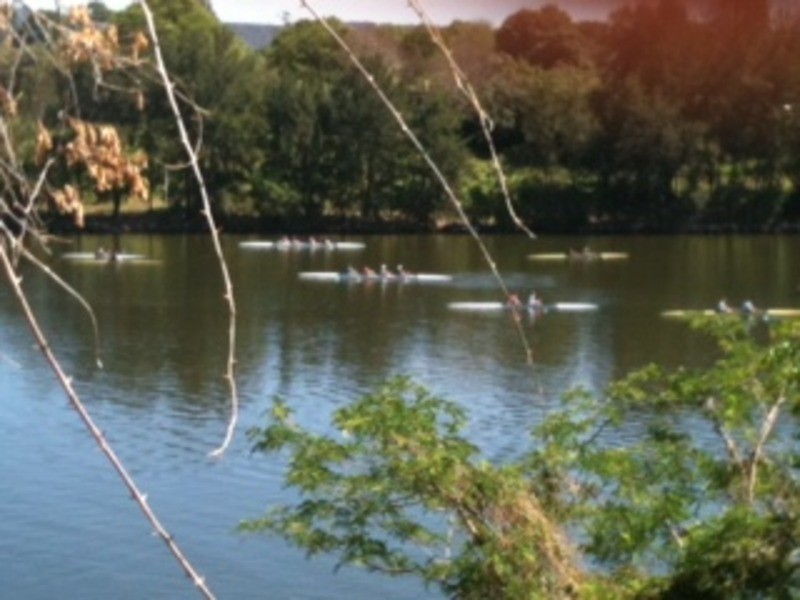 19 Nepean  Avenue, Penrith NSW 2750