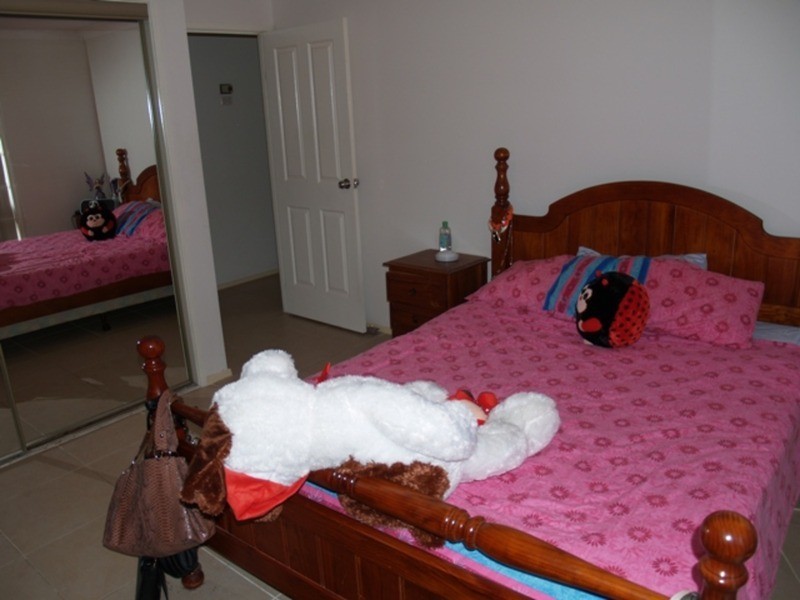 1 Teak Street, St Clair NSW 2759