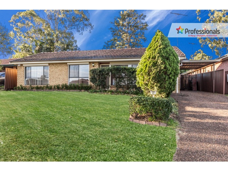 43 Todd Row, St Clair NSW 2759