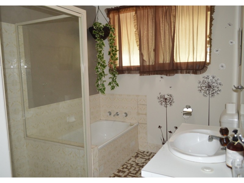 29 Walker Street, Werrington NSW 2747