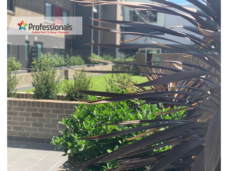 Ropes Crossing NSW 2760