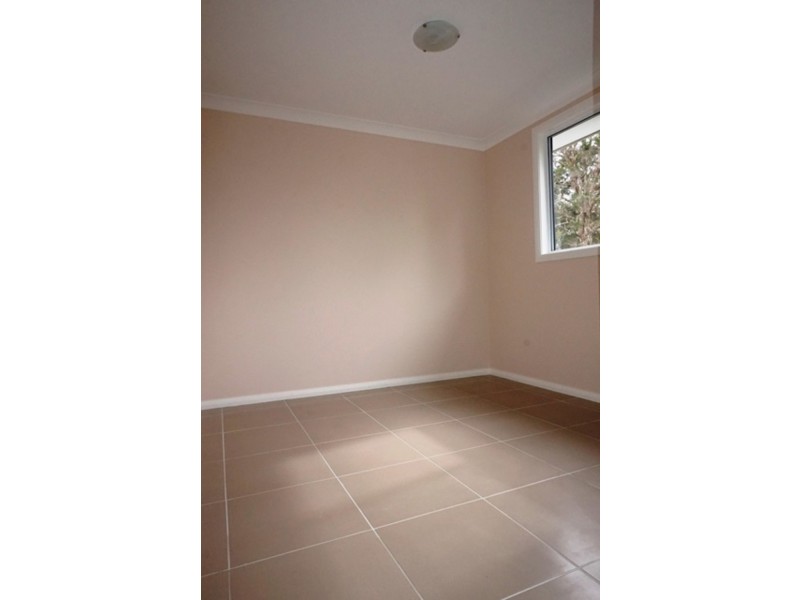 67A Carpenter Street, Colyton NSW 2760