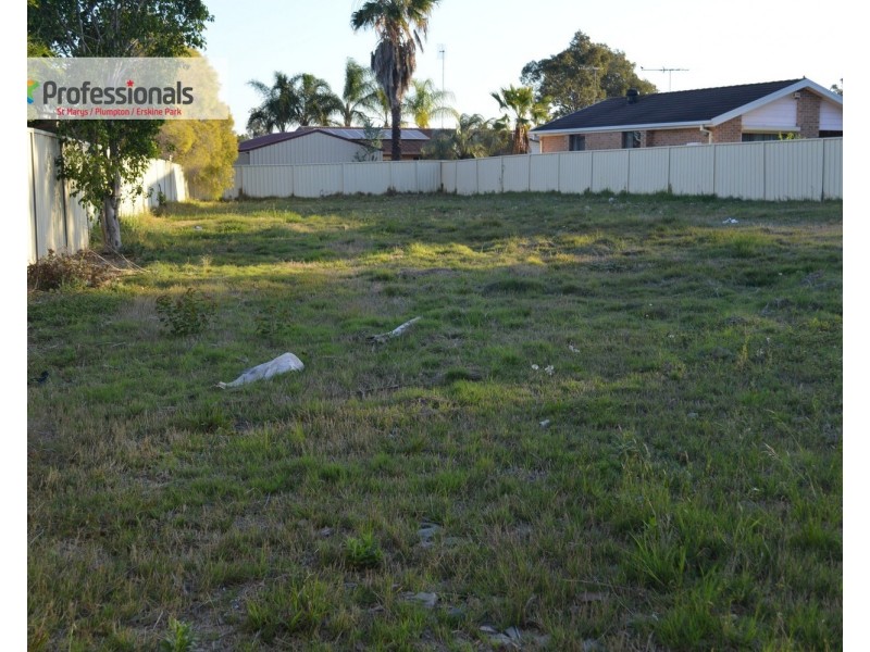 1 Sonia Place, Hassall Grove NSW 2761