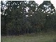 Murray Ridge Bungay Road, Wingham NSW 2429