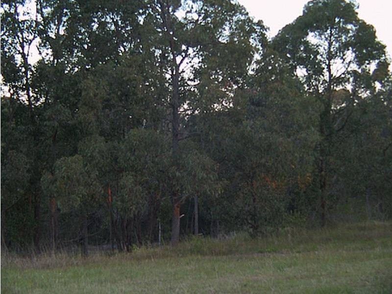 Murray Ridge Bungay Road, Wingham NSW 2429