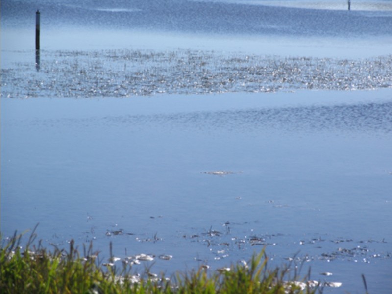 Manning Point NSW 2430