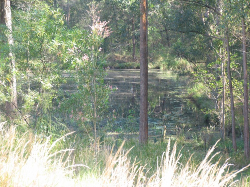 Upper Lansdowne NSW 2430