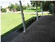 Taree NSW 2430