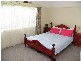 Taree NSW 2430