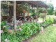 Cundletown NSW 2430