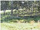 Tinonee NSW 2430