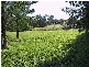 Tinonee NSW 2430