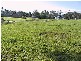 Tinonee NSW 2430