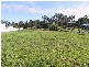 Tinonee NSW 2430