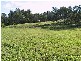 Tinonee NSW 2430