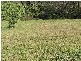 Tinonee NSW 2430