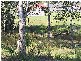 Tinonee NSW 2430