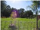 Lansdowne NSW 2430