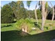 Taree NSW 2430