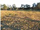 Taree NSW 2430