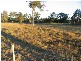 Taree NSW 2430