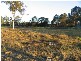 Taree NSW 2430