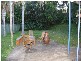 Taree NSW 2430