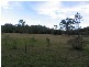 Bohnock NSW 2430