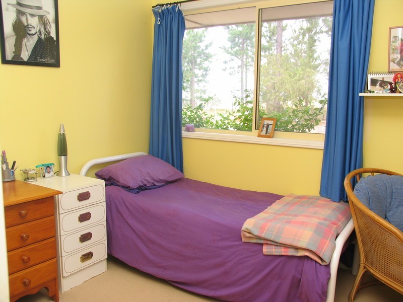 Cedar Party NSW 2429