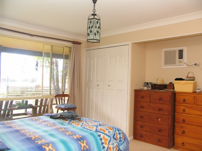 Cedar Party NSW 2429