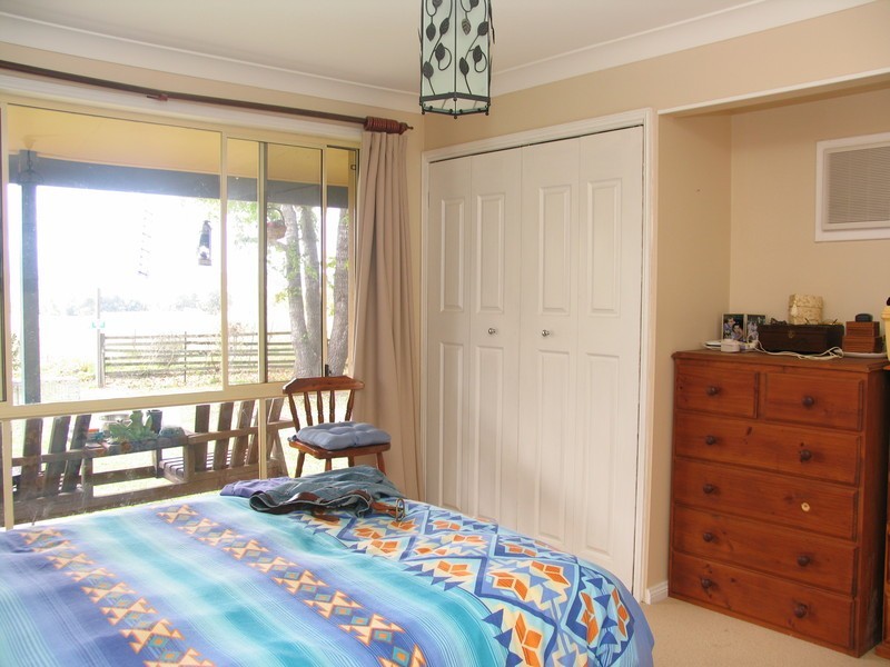 Cedar Party NSW 2429