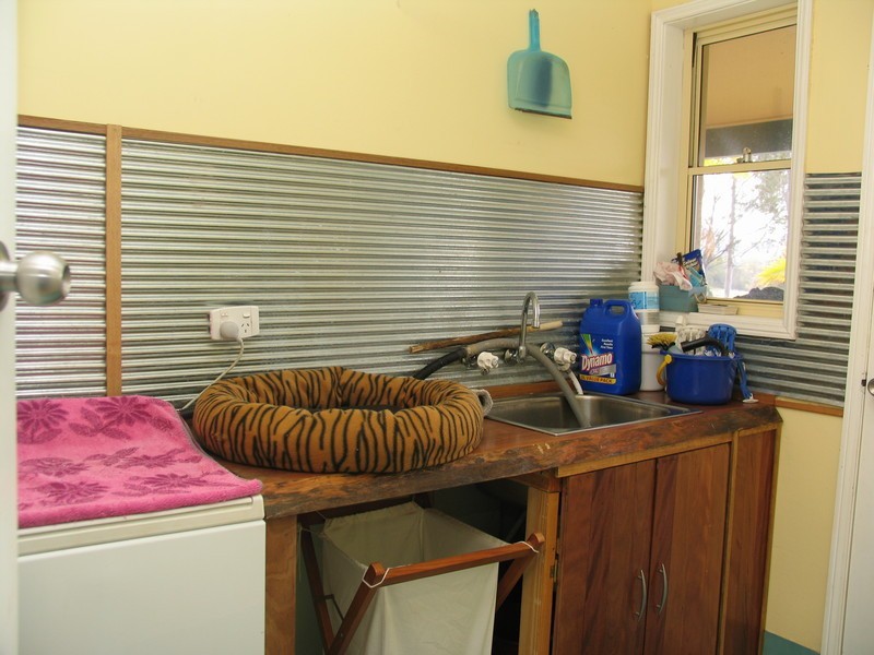 Cedar Party NSW 2429