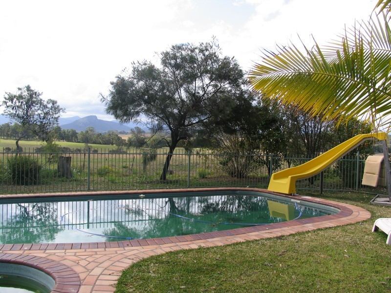 Cedar Party NSW 2429