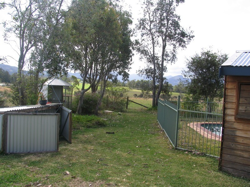 Cedar Party NSW 2429