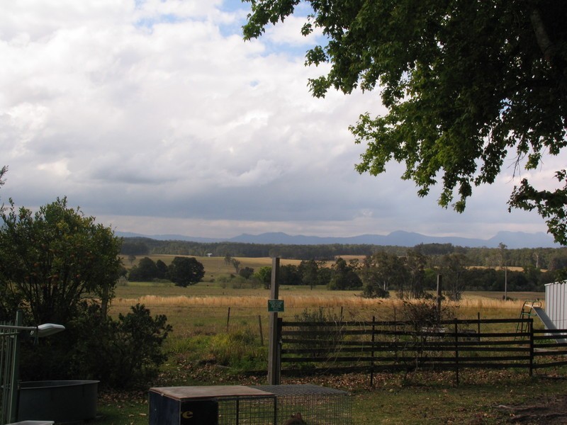 Cedar Party NSW 2429